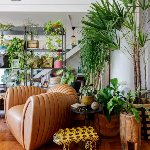 Detalhe de estante com diversas espécies pendentes e poltrona de couro, reforçando o conceito de selva urbana da Casa Tamareira.